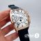 Часы Franck Muller Curvex (19596)