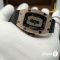 Часы Richard Mille (19671)